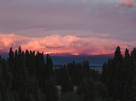 Article Image for Patagonia: The Edge of the World